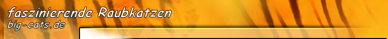 Faszination Raubkatzen